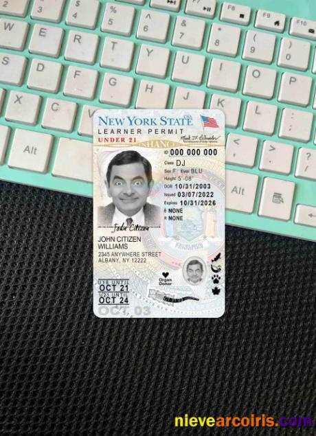 USA New York driving license (version 2) photolook